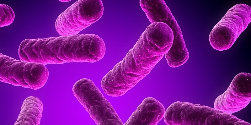 How To Get Good Bacteria In Your Gut