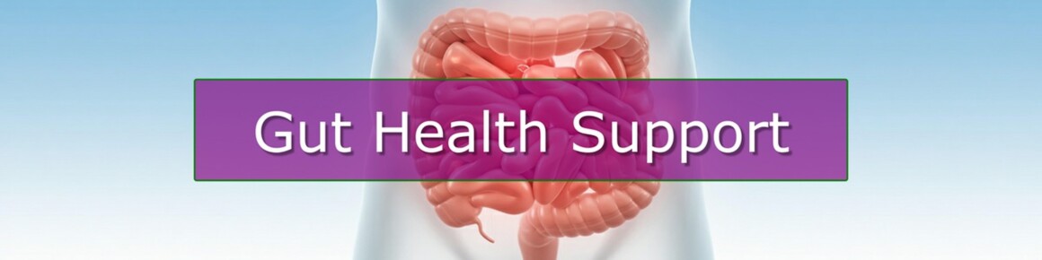 Gut Health Supplements