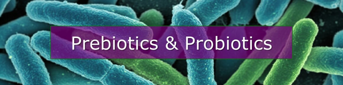 Prebiotics and Probiotics Supplements