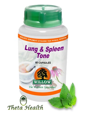 Lung & Spleen Tone: Willow